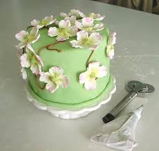   Cake1