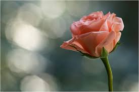 ��: ���� ����� 