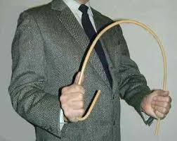 cane1.JPG