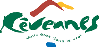 Afficher l'image en taille réelle