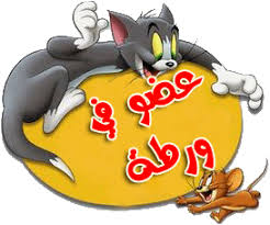 http://tbn3.google.com/images?q=tbn:l9S38yYMHb8alM:http://www.5lami.com/up//uploads/images/domain-fbad799b0a.bmp