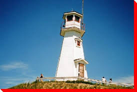 See full size image