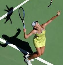 http://tbn3.google.com/images?q=tbn:my8TiBVul0ALiM:http://www.sportvox.fr/IMG/tennis_cat.jpg
