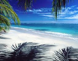 http://tbn3.google.com/images?q=tbn:n0fvxSiK7aa0rM:http://drivemeloco.com/dml-