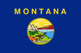 external image montana-flag.jpg
