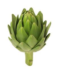 دروس الا نجليزية : الدورة الثانية Artichoke