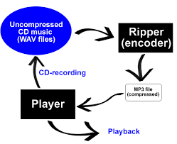 You use a ripper to encode MP3 files ...