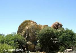 اغرب صوره
