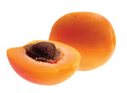 جالب دات نت
