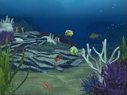 Foto di underwater - vombanetwork