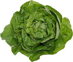 دروس الا نجليزية : الدورة الثانية Lettuce3