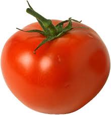 جالب دات نت