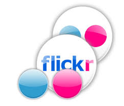  flikr 