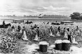 http://encarta.msn.com/media_461557942/african_american_slaves_picking_cotton.html