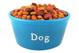 [Image: dog_food.jpg]