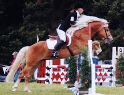 cavallo 10 Giorni Equestre, Virginia Argenton vince il Gran Premio di Predazzo