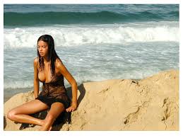 agrandir cette image de ariane-brodier