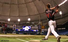  Bryce Harper last season.