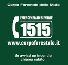Anticendio Boschivo 
