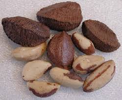 a nut in 2 shells