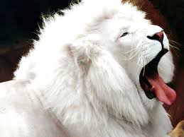 ���� ���� ������ �� ���� ������
