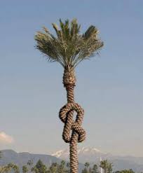 http://tbn3.google.com/images?q=tbn:y4qTBzIZJitNvM:http://www.mesopotamia4374.com/adad11/21_bestanden/image002.jpg