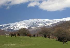 http://tbn3.google.com/images?q=tbn:zAAPBcWXz8HIUM:http://marquez.blog.bg/photos/Studena%2520lake%2520011.jpg