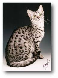  Egypt.Com - ������� ���