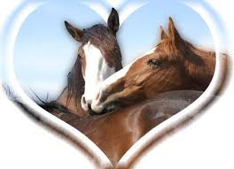 Afficher l'image en taille réelle