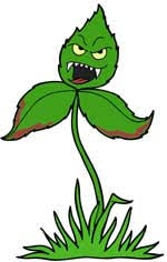 Poison ivy!