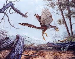 archaeopteryx.jpg