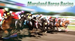 2007 Preakness Stakes 132 Results \x26amp; 