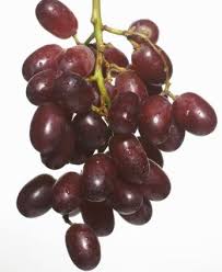 Buah Anggur