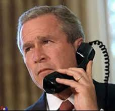 bush
