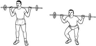Sample Routine - 3 days Equipment: Beginner 0198631472.half-squats.1