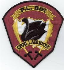 Crni labudovi Crni labudovi