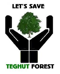 Save Teghut Forest Website