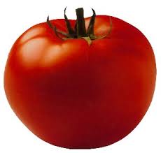 [Image: tomato.jpg]