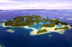 SCUBA Palau with Pacific Coast