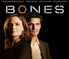 watch Bones S04E14