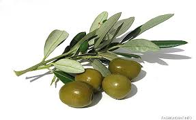 Healing Body And Soul Green-olives