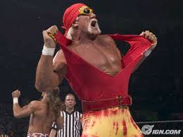 http://tbn3.google.com/images?q=tbn:cd7nU00zKo3wMM:http://sportsmedia.ign.com/sports/image/article/630/630882/hulk-hogan-interview-20050701022156353.jpg