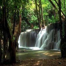 http://tbn3.google.com/images?q=tbn:evtvyfjMduqaFM:http://www.igetweb.com/www/thaicameracafe/private_folder/web/2.jpg