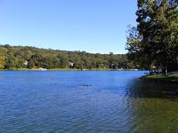 Oklahoma Octopus - A group of