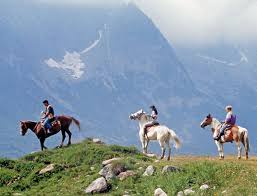 Trekking a cavallo in quota Lagorai, trekking a Cavallo   Ippovia del Trentino Orientale