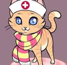 Meow Meow Meow Meow