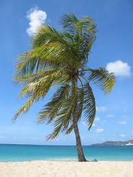 BEI Palm Desert Island