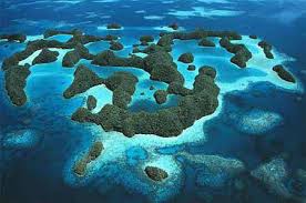 Experience The Wonders of Palau