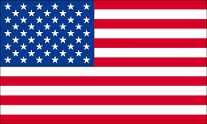 http://tbn3.google.com/images?q=tbn:78NnssitpU7kkM:http://www.beebarter.com/fichiers/DrapeauUsa.gif