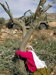 اضغط على الصورة لرؤيتها بالحجم الطبيعي
